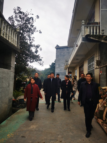 图片44 图片44