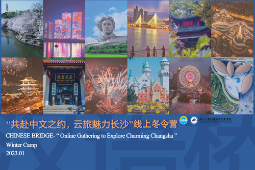 图片12
