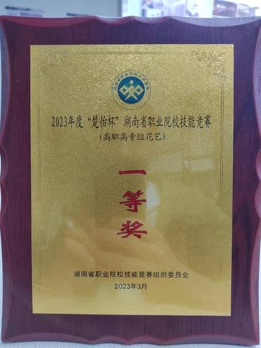 图片22