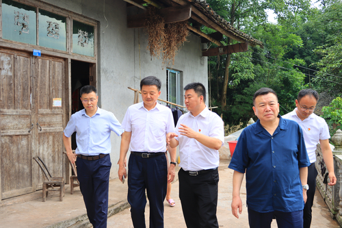 图片5
