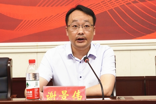 图片16
